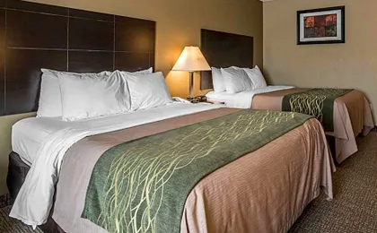 Comfort Inn Saugerties
