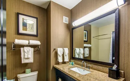 Holiday Inn Arlington Ne Rangers Ballpark