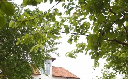Villa Strampelli