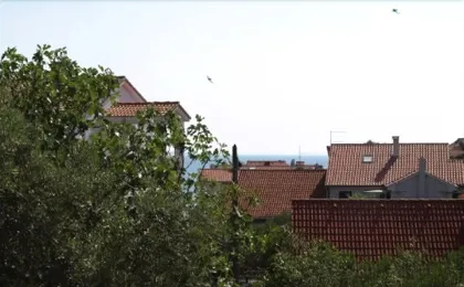 Apartments Anica