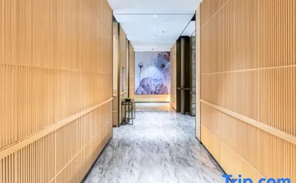 Yaster International Hotel (Shenzhen Bao'an International Airport T3 Terminal Store)