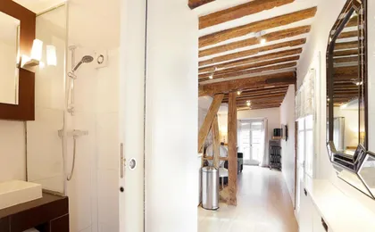 Habitat Parisien - 1br-1ba - Duplex Louvre Museum