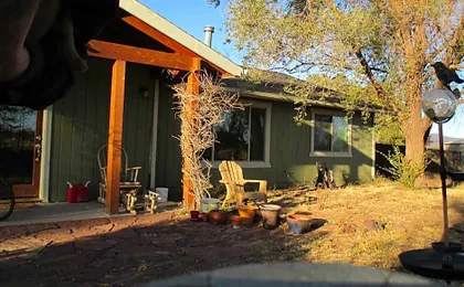 Peaks Wildernest House Bed and Breakfast
