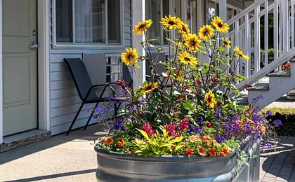 Bar Harbor Villager Motel - Downtown