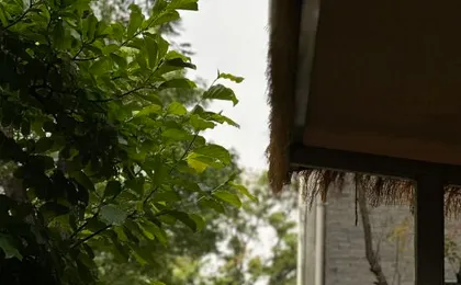 Dali Chuchu Cottage Homestay