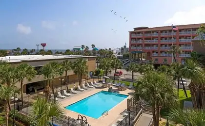 Beachfront Palms