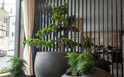 Huafu Jincheng Hotel