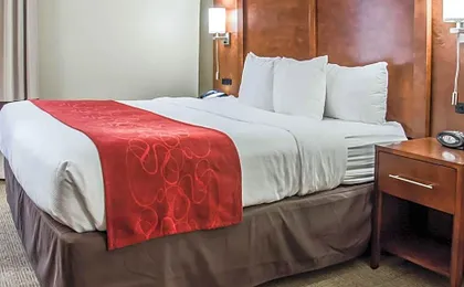 Comfort Suites University Research Park