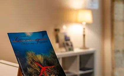 Affittacamere B&B Carella