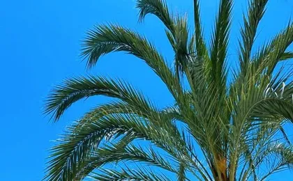 Marbella Home Rentals - Frontline 3br Apartment, Puerto Banus