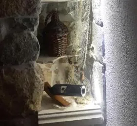 Apartment Central 1