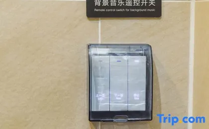 Lavande Hotel (Chongqing Nanping Pedestrian Street, Gongmao Metro Station)
