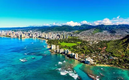 Hawaiian Monarch 2108