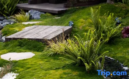 Lijiang Lan Yu Ancient Town Hotel