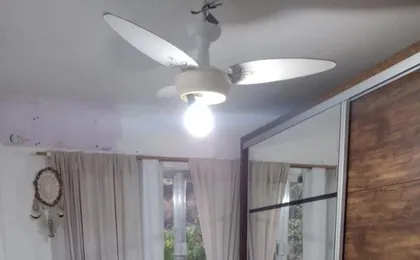 Ape Abencoado Por Deus