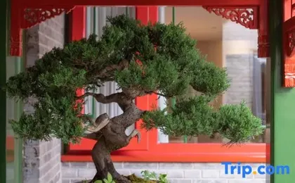 Xinxiang Yayuan Siheyuan (Beijing Tiananmen Wangfujing Branch)
