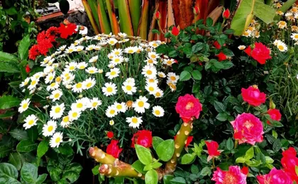 La Foresteria Boutique Bed & Breakfast