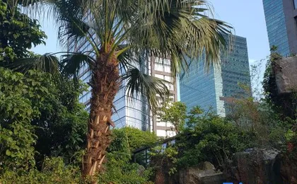 Xiangzhang Hotel (Shenzhen Futian Convention and Exhibition Center)