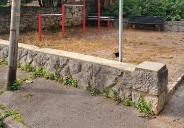 Belvia