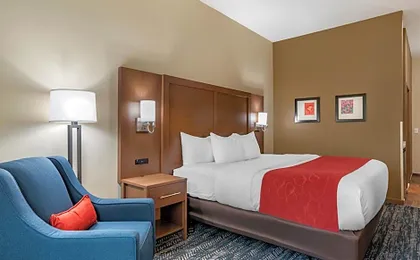 Comfort Inn & Suites Downtown near University