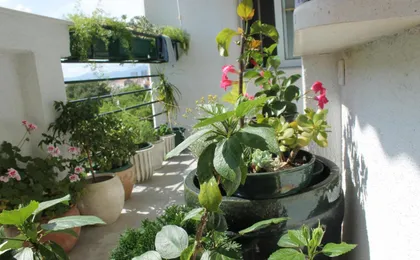 Bianca Beach Apartments