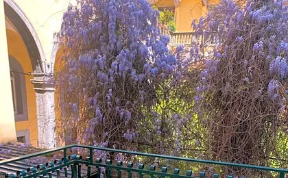 Downtown Napoli b&b - e si nun canto moro