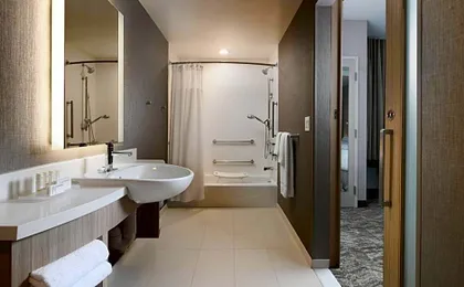 SpringHill Suites by Marriott Dallas DFW Airport South Centreport