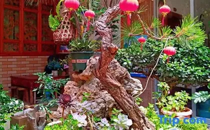 Dali Wase Xinxin Chinese Inn