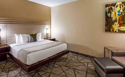 Comfort Inn & Suites Houston I-45 North - IAH