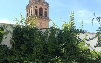 Entre 2 Mezquitas Apartamento 8