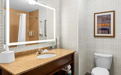 Hampton Inn Dekalb