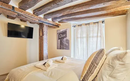 Amazing Apartment in Center of Paris