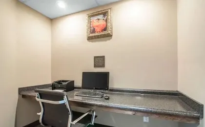 Comfort Inn Apalachin