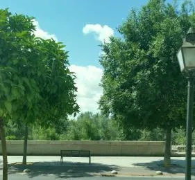 Paseo de la Ribera 32