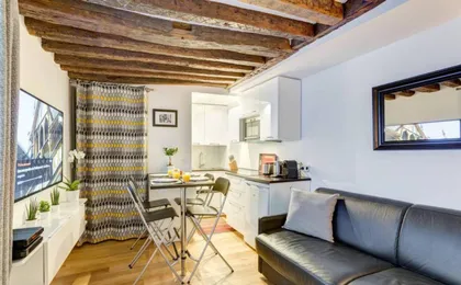 Historic Paris Apartment Steps From Notre Dame And Louvre - Limited Offer