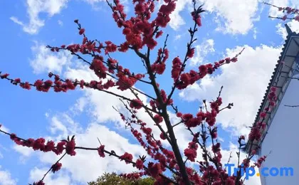Dali Yuncheng Hotel (Dianxi Medical Center)