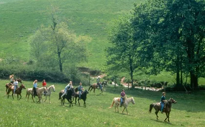 Forrest Hills Mountain Resort
