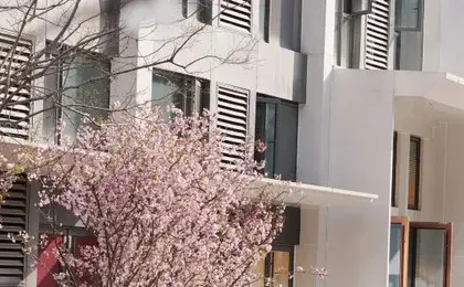 Ruitai Hotel style Apartment (Wuhan Tianhe Airport Aviation Headquarters Subway Station Branch)