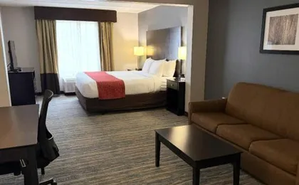 Comfort Inn & Suites Tampa North I-75