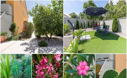 House Moderna 2