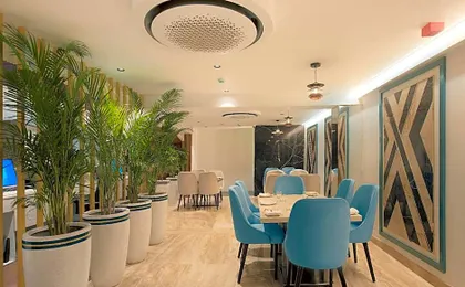 44 Oasis