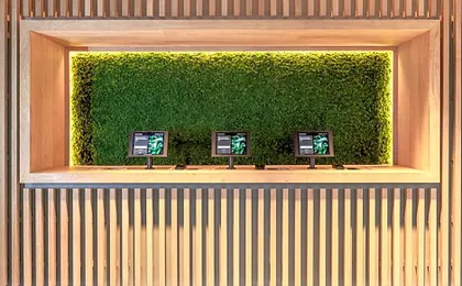 Zedwell Underground Hotel Park Lane