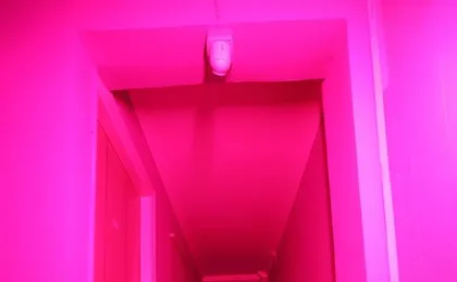 Hotel Annexe