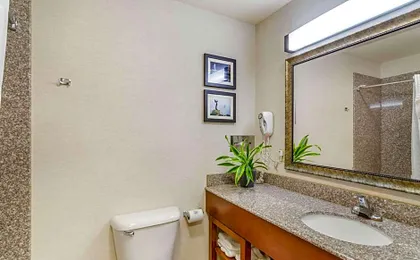 Comfort Inn & Suites near Bethel College