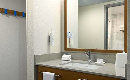 Hampton Inn Washington-Dulles Int'l Airport South