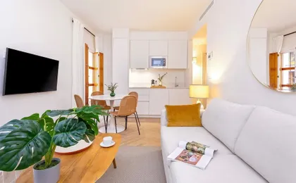 Bright Apartment in Seville Plaza Santa Cruz