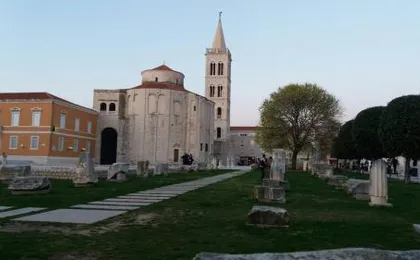 Orhideja