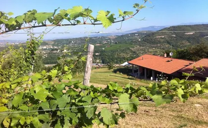 Agriturismo Il Pianetto