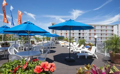 The Spinnaker