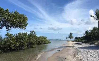 Flat de Alto Padrao Para Locacao